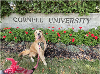 dog waddle sits beside cornell university sign